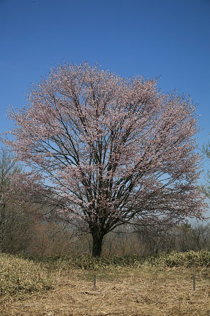 0504-1.jpg