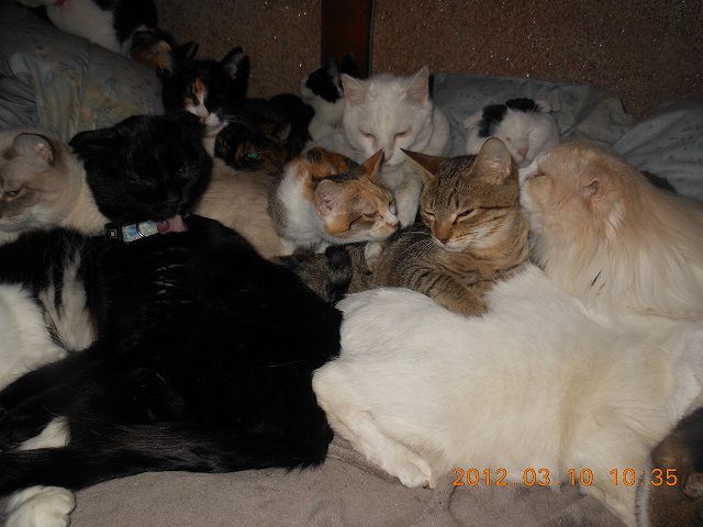 DSCN3132.JPG