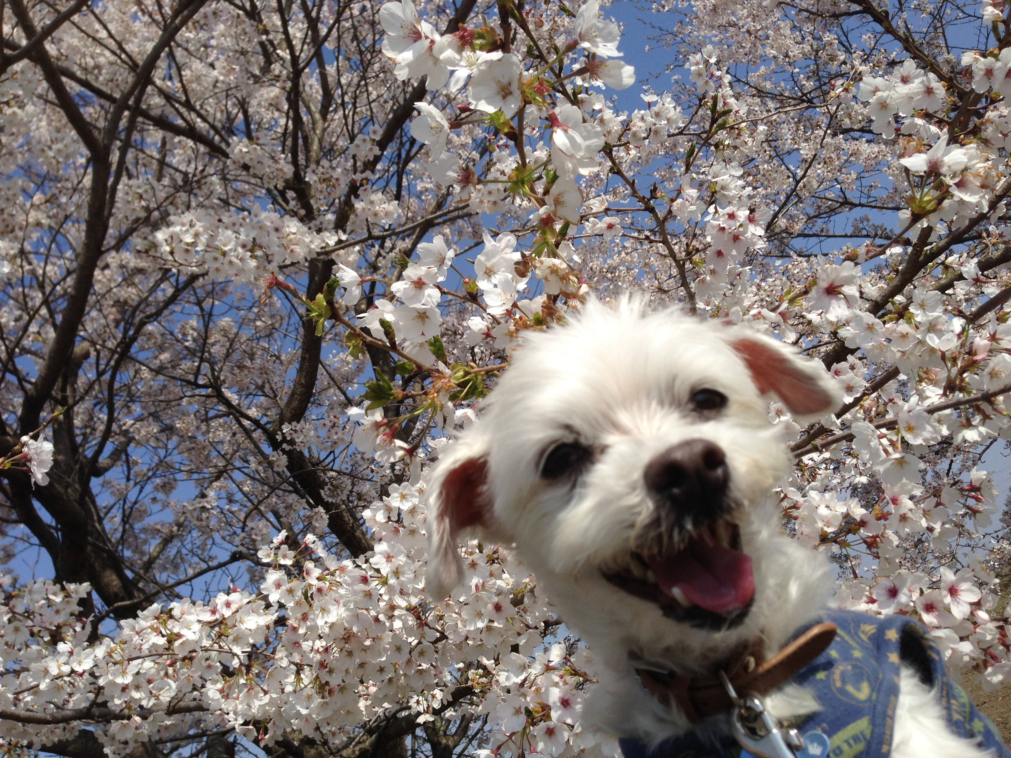 201404081613_0242_iphone.jpg