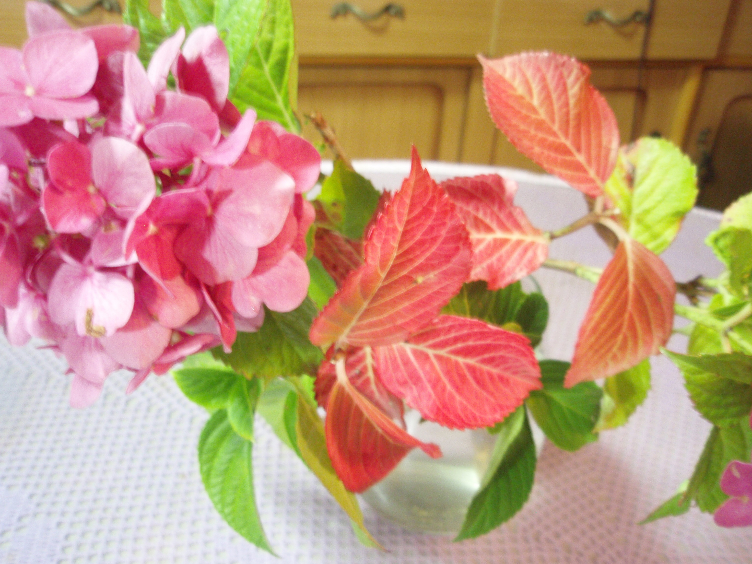 花二点 002.jpg