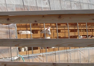 P4290060.jpg