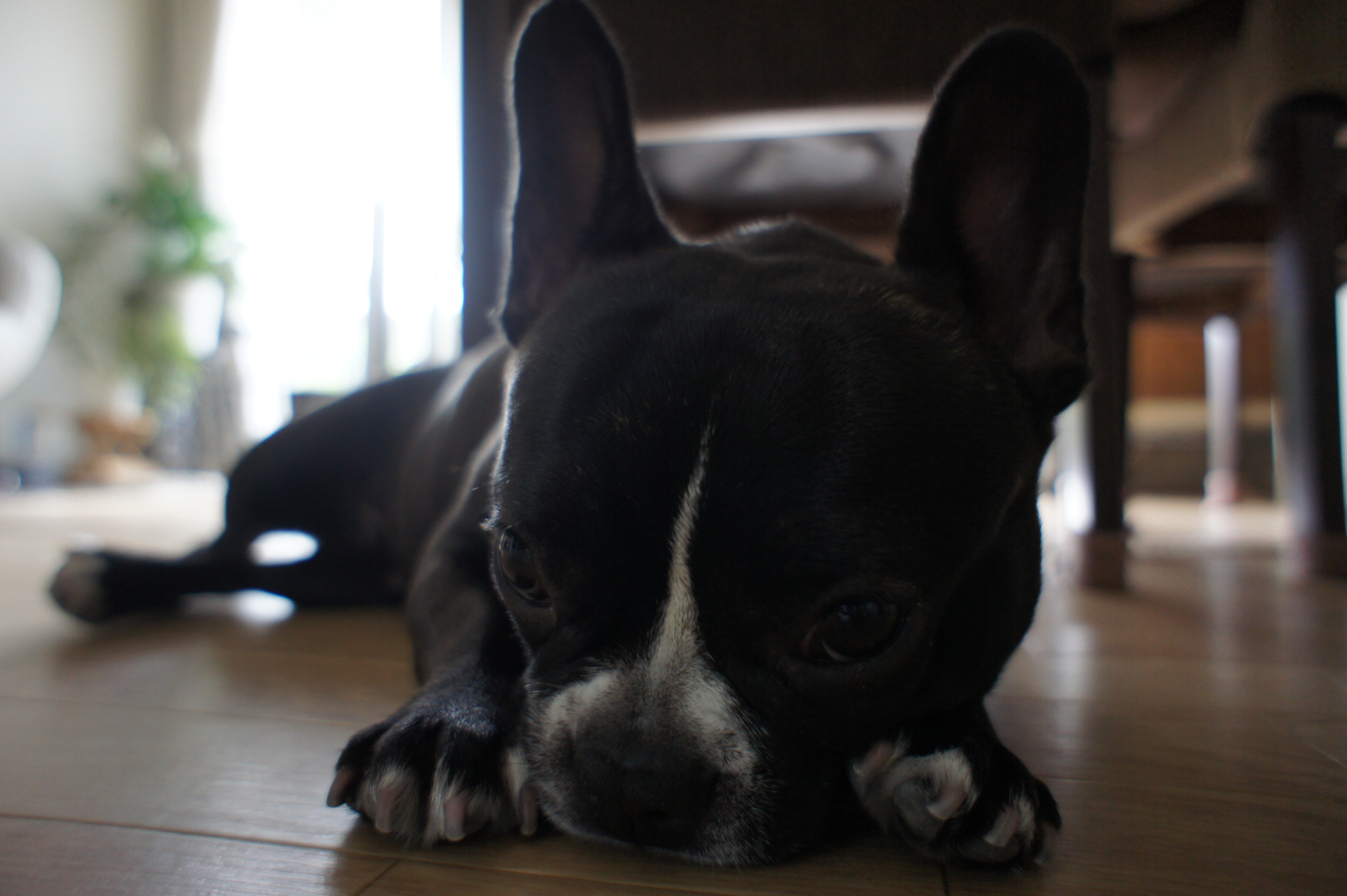 C:\fakepath\2012 07 01 102.JPG