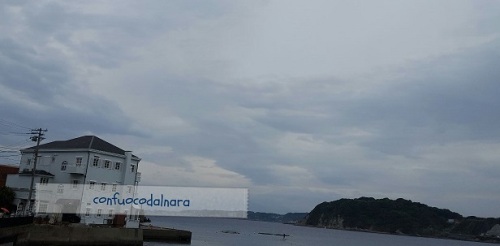 munari hayama cha.jpg