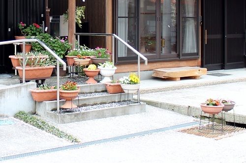 新庄の庭先 (2).JPG