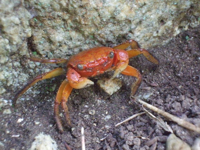DSCF3155.JPG