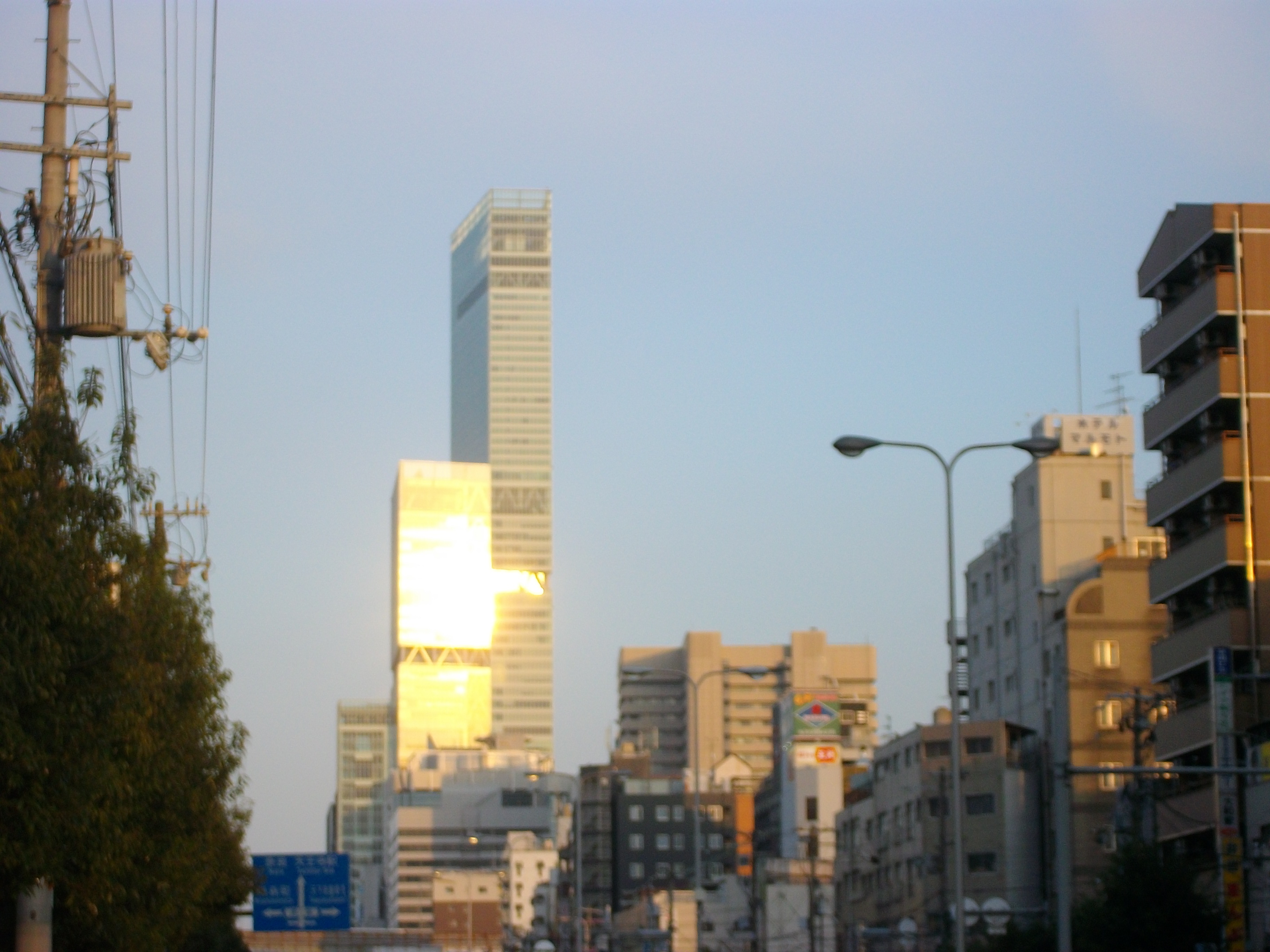 IMGP1746.JPG