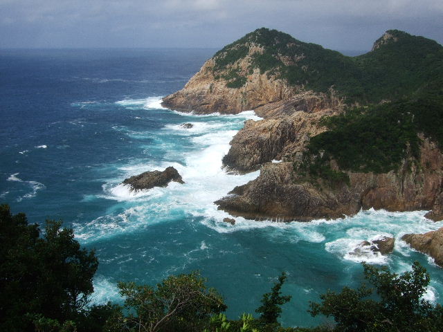 DSCF3166.JPG