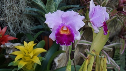 20160127 11081001.JPG