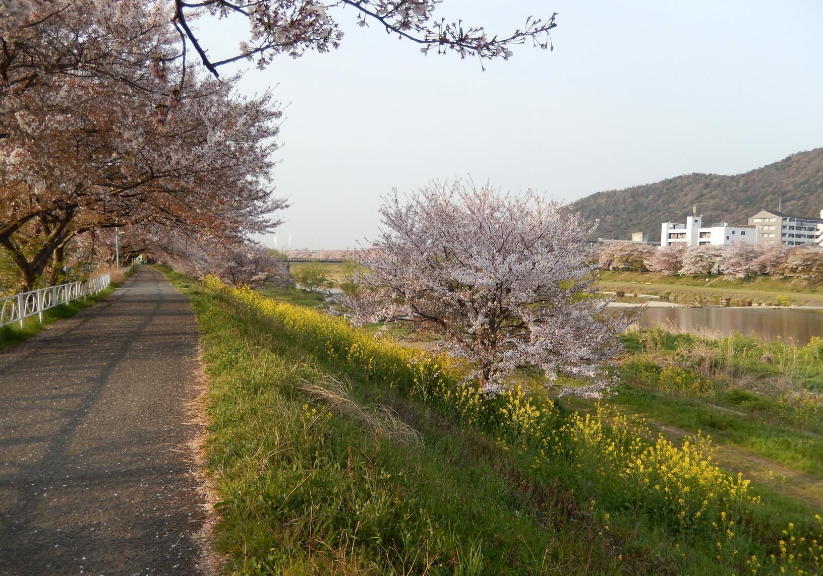 140413-1-1.jpg