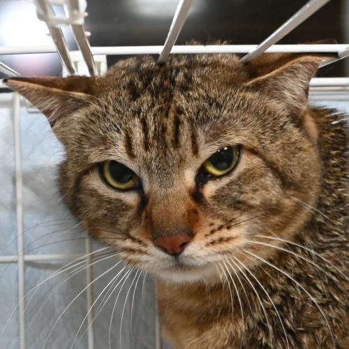 家族紹介用画像フォルダ