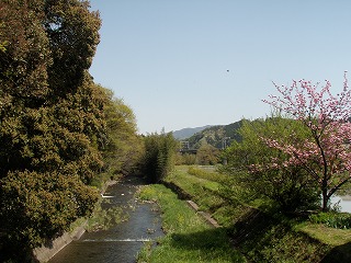P4280011.jpg