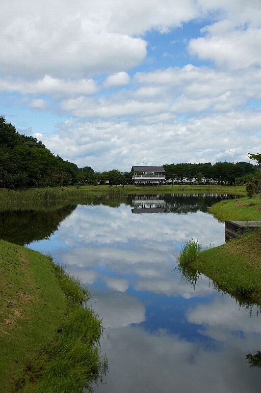 0809-3.jpg