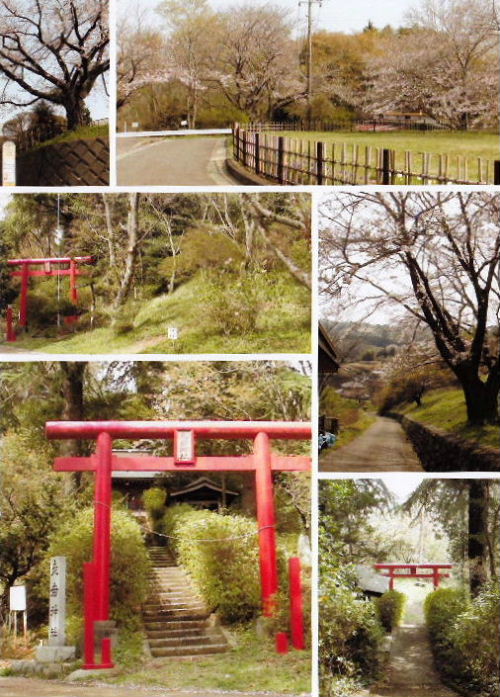 2013年4月の出来事A1.JPG