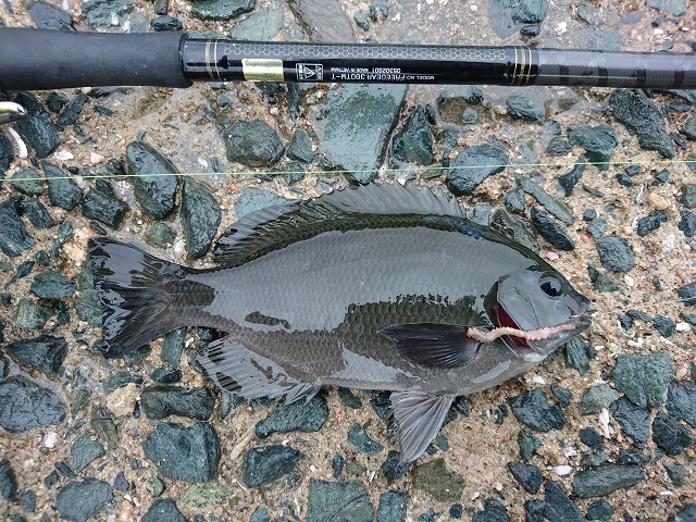 showPhoto (640×480)