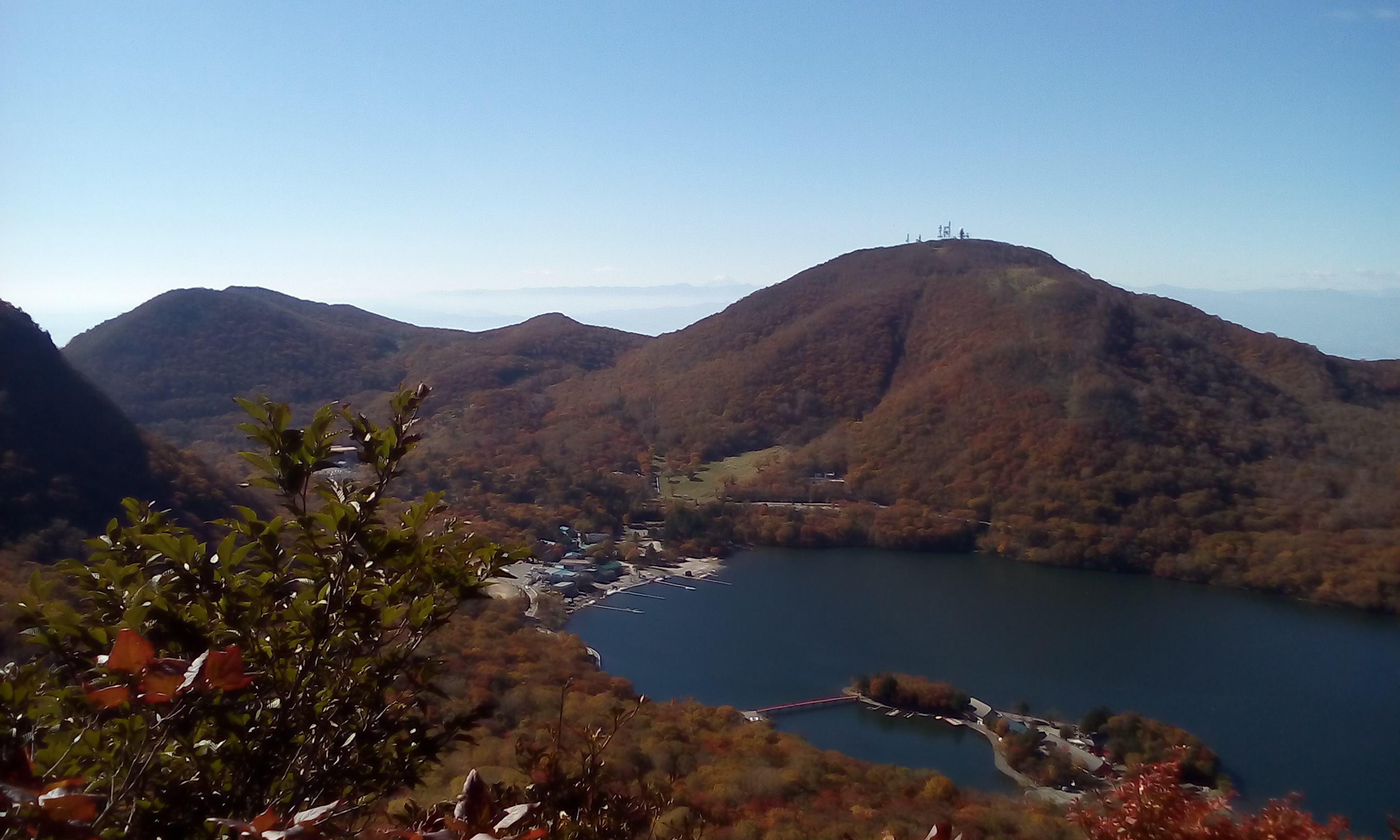 IMG_20151013_092436.jpg