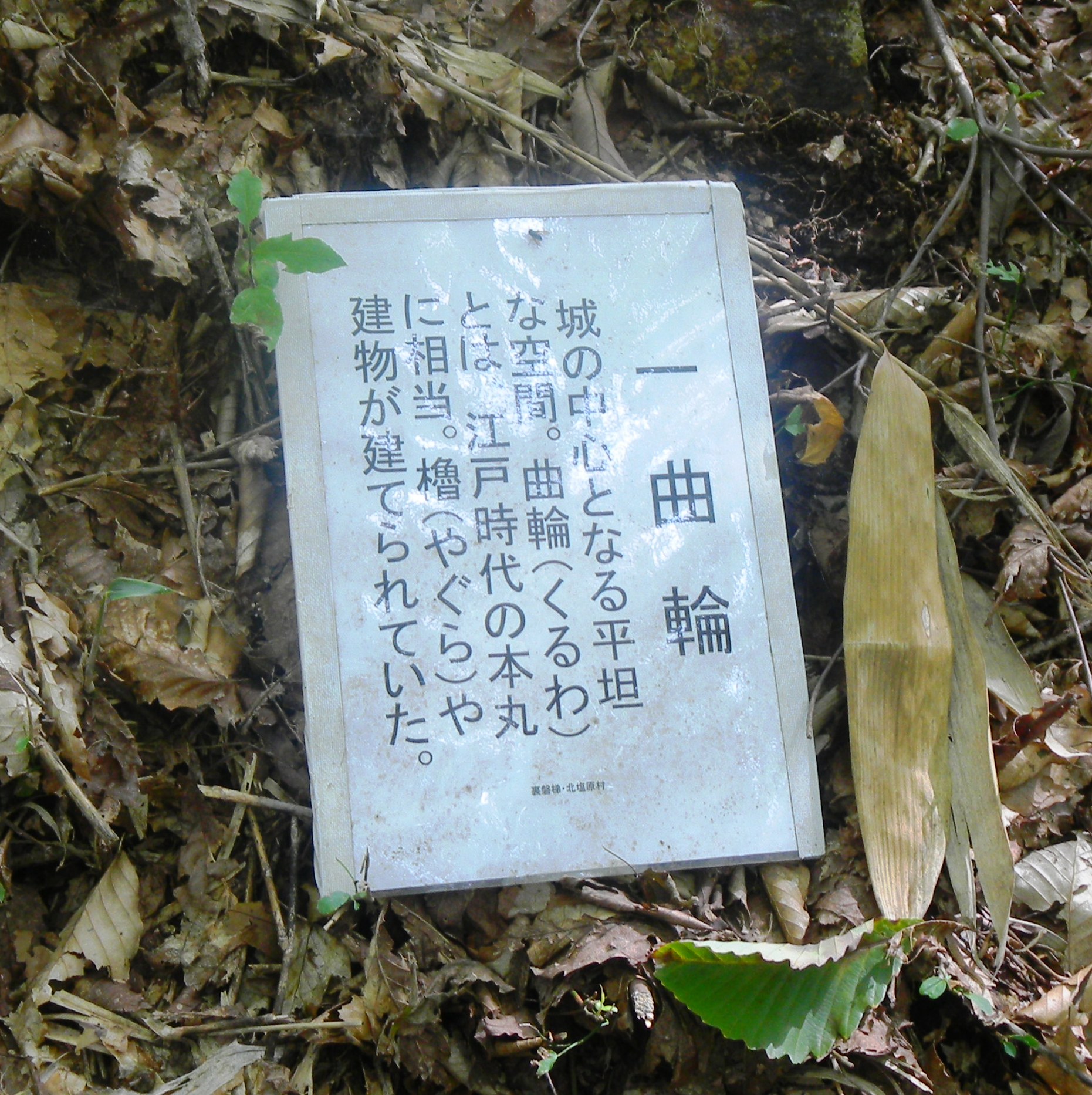 040小谷山城跡 (2).JPG