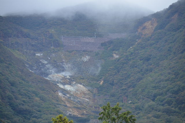DSC_0748.JPG
