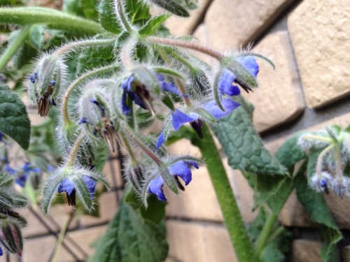 IMG_9358 (640x480).jpg