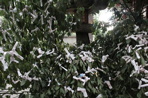 IMG_5161 - コピー.JPG