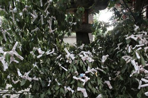 IMG_5161 - コピー.JPG