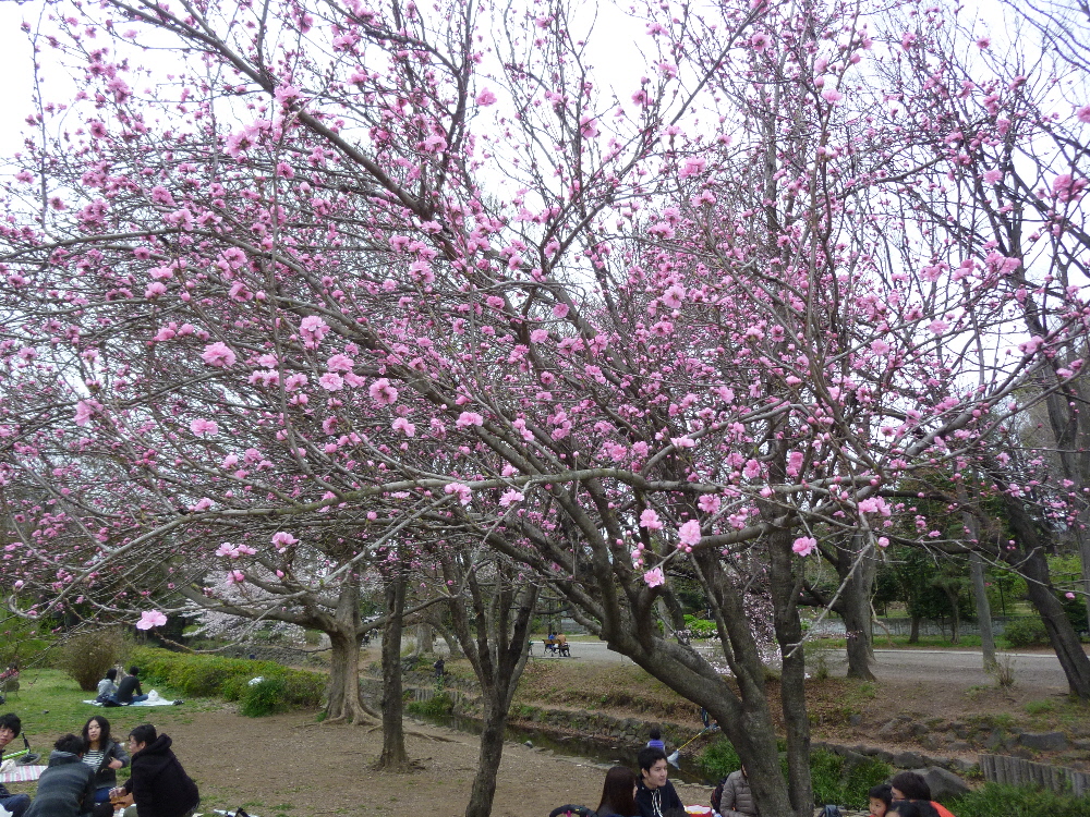P1120187.JPG