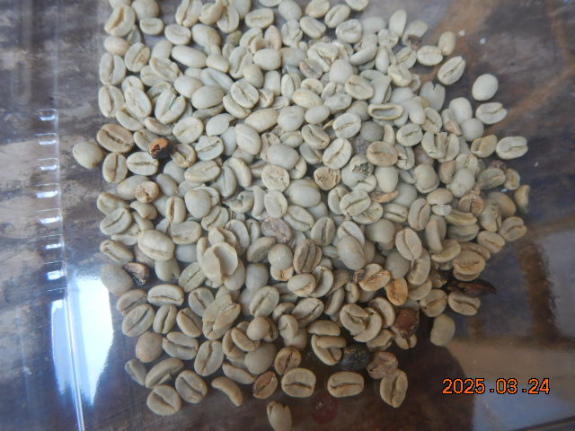 DSCN0137.JPG