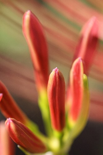 0926-3.jpg