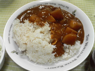 カレー20021502