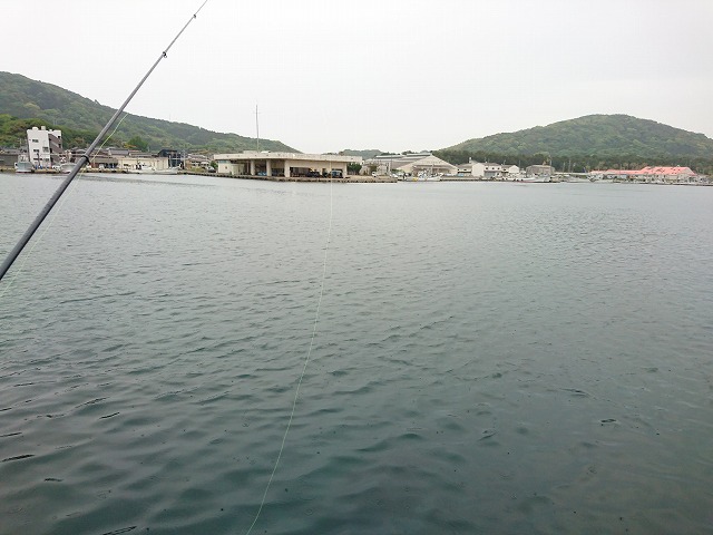 showPhoto (640×480)