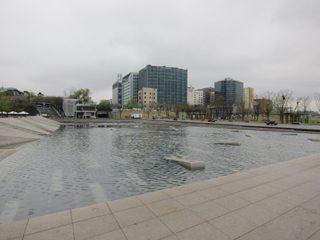 IMG_4169-1.JPG