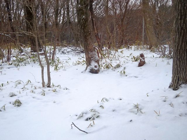 190403garden.jpg