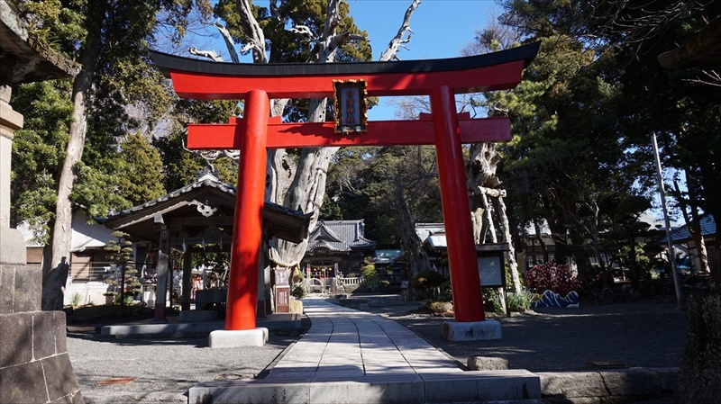 20150108 11414001.JPG