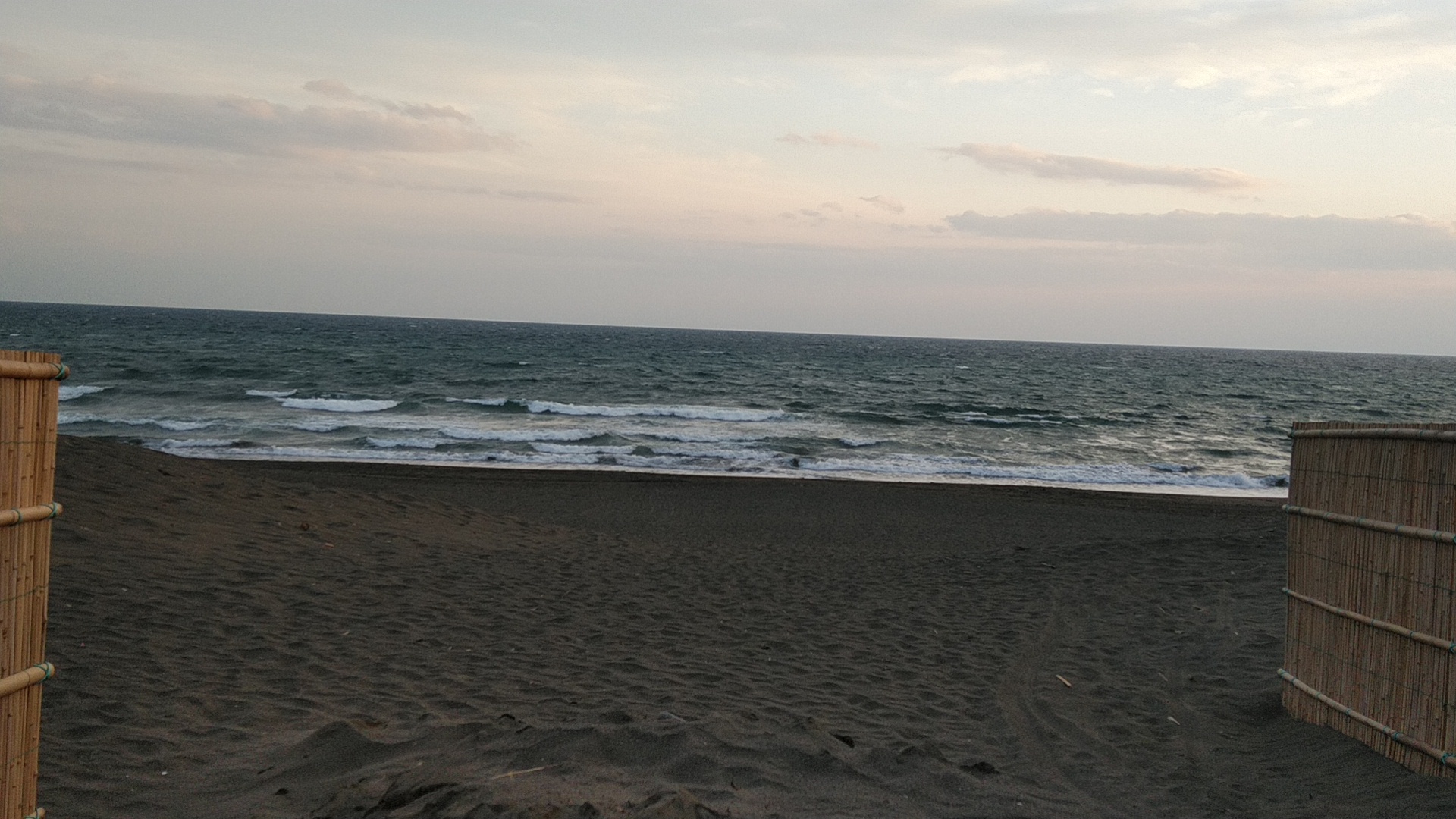 20190224  DSC_0006.jpg.jpg