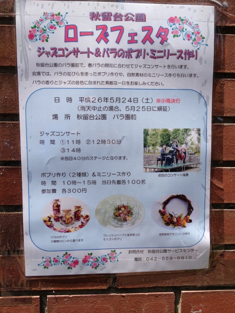 IMG_8991 (480x640).jpg