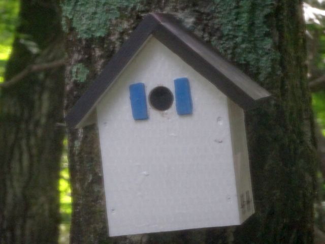 200606subako.jpg
