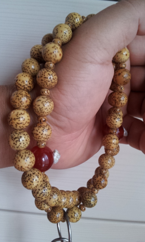 C:\fakepath\2012-08-11 17.12.16[1].jpg