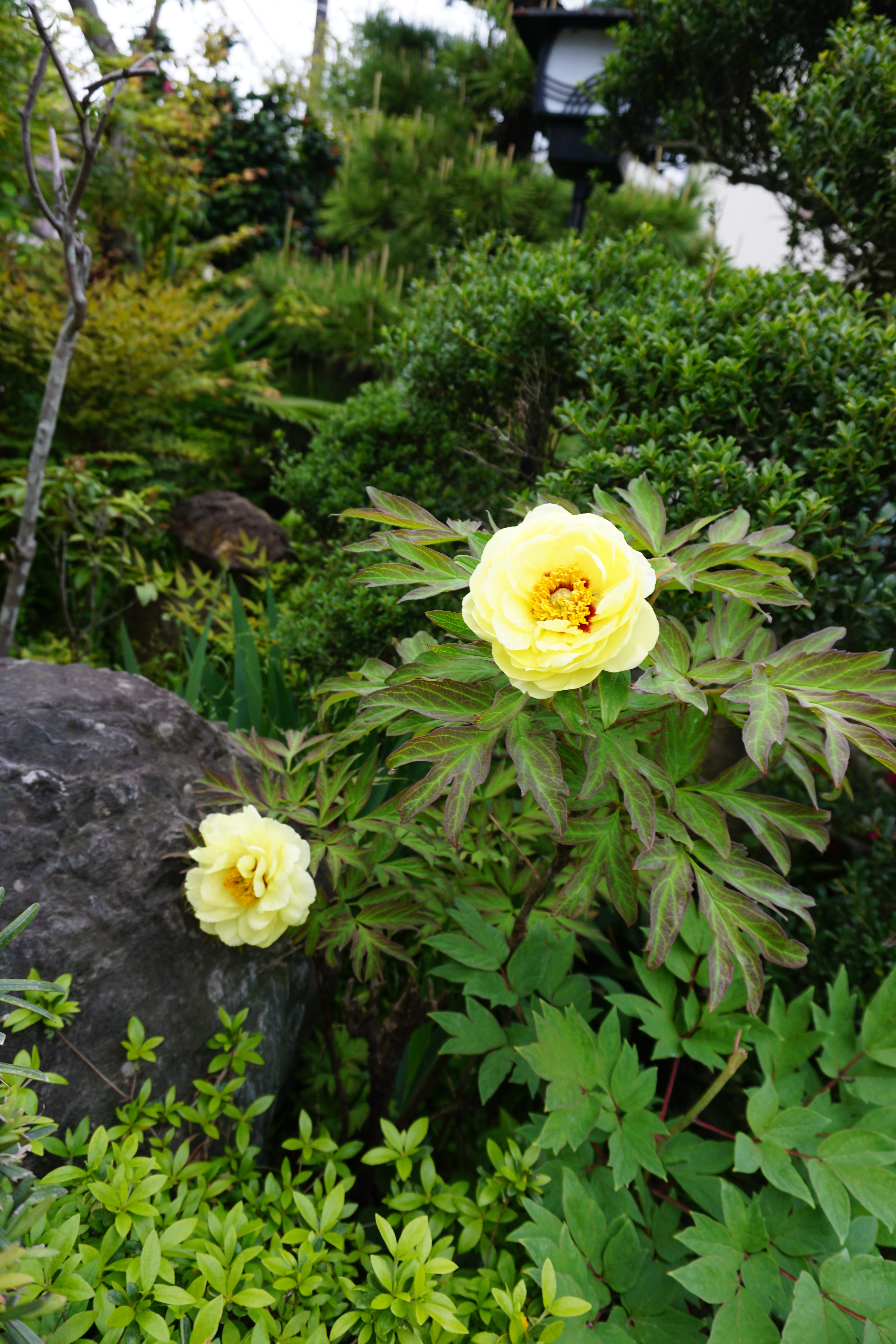 2023年4月3-4.JPG