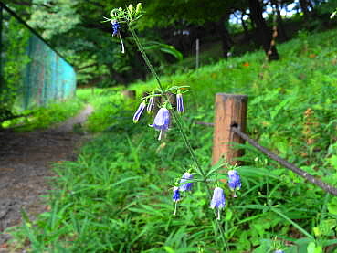 150816-27.JPG