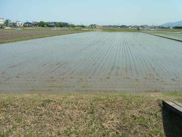 taue.jpg