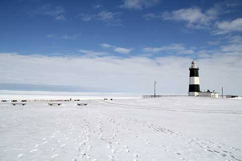 6ra_20150227_001.jpg