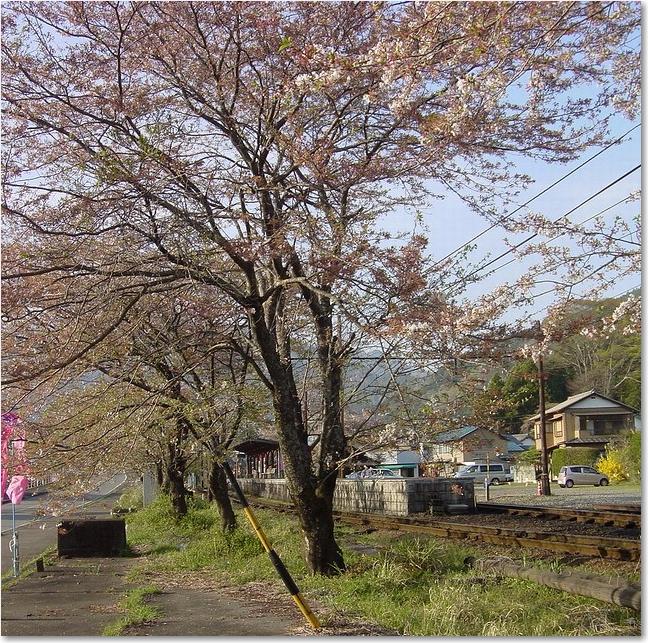 66桜の駅.JPG