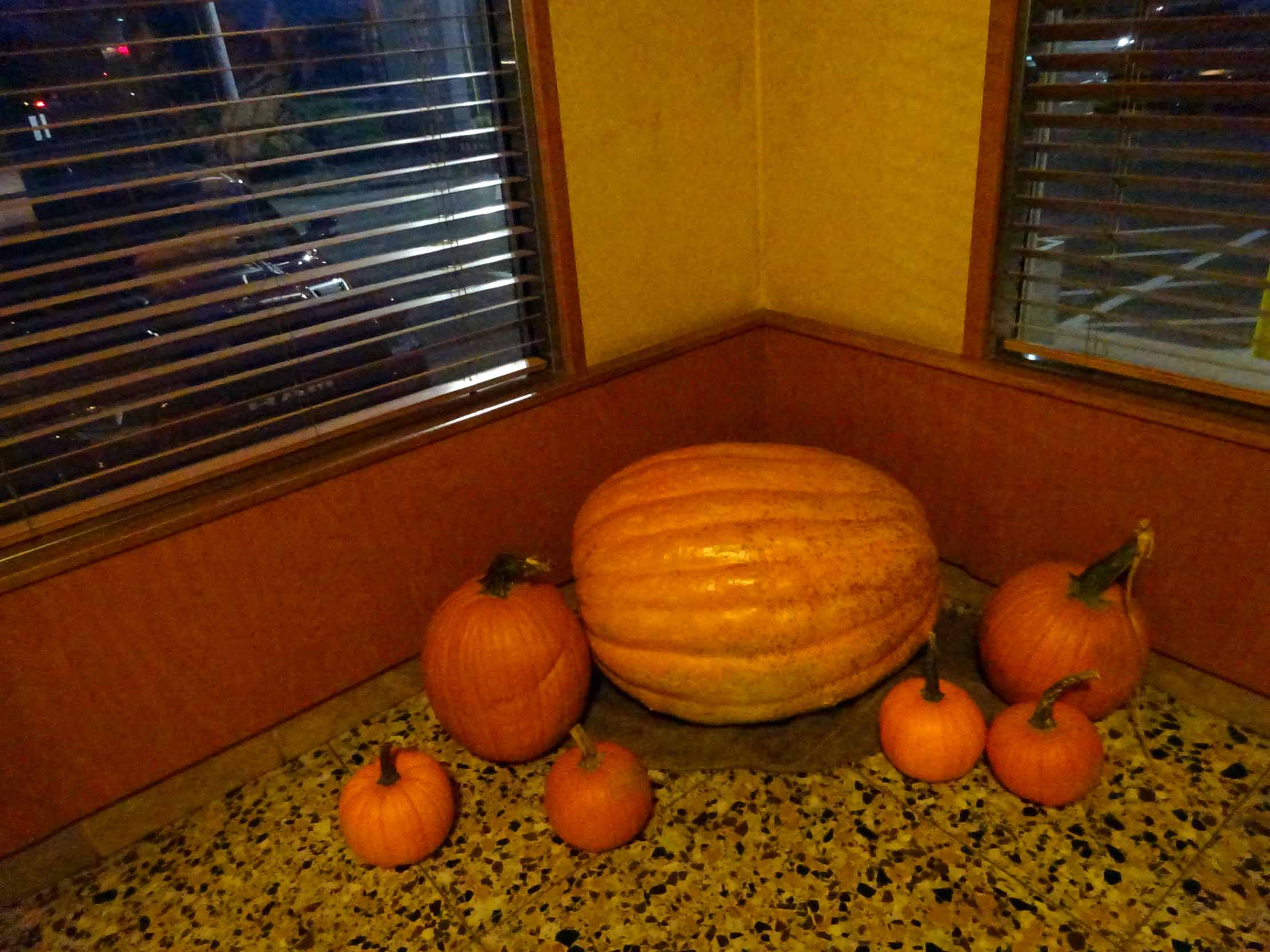 DSC01094.JPG