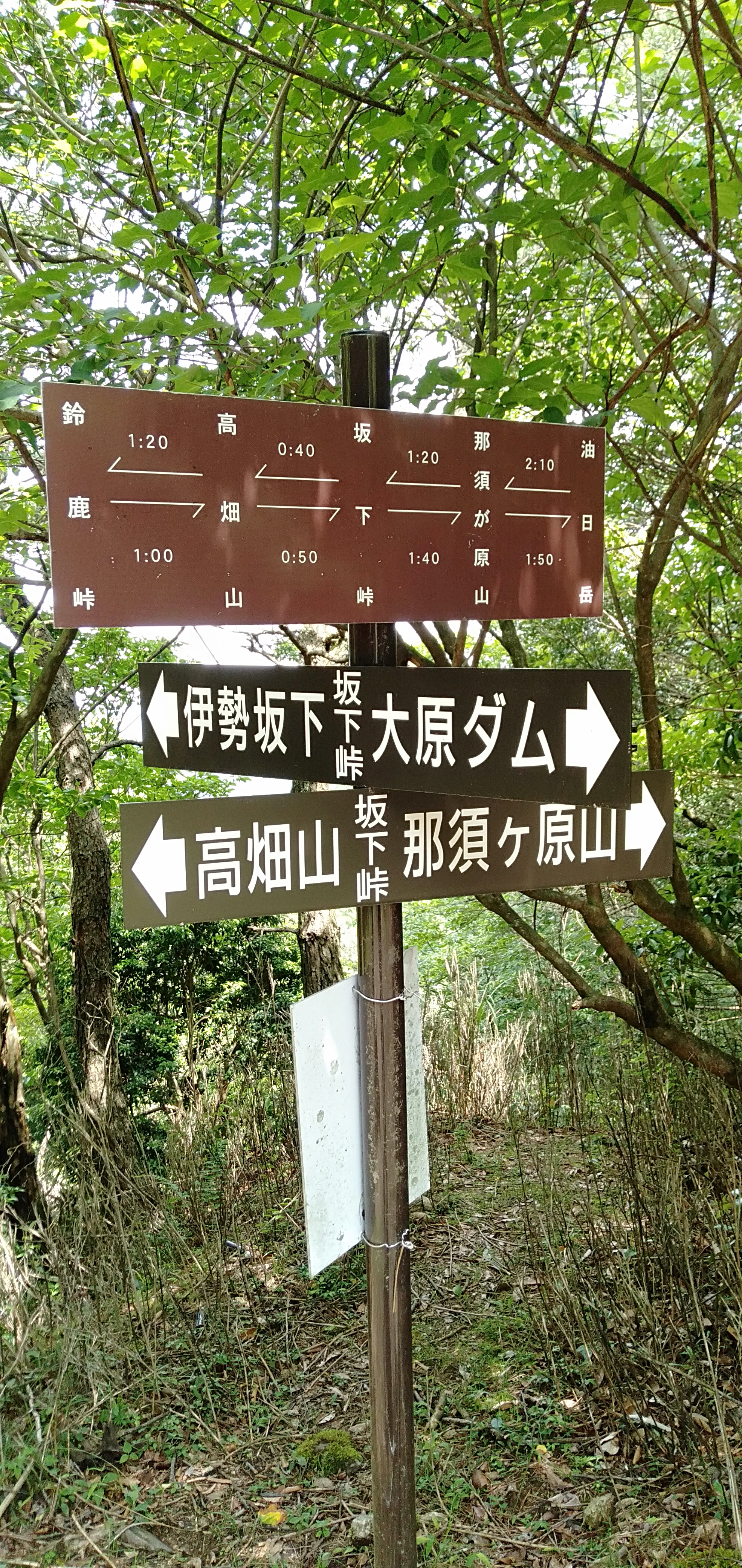 IMG20200615133156.jpg