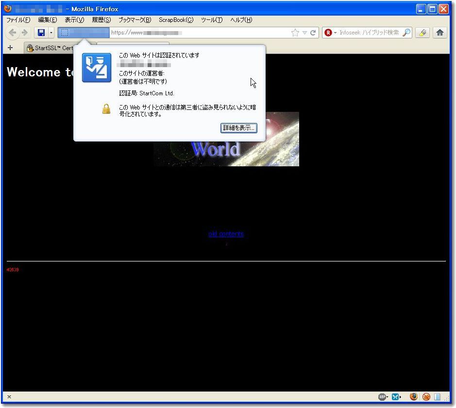 StartSSL 03.jpg