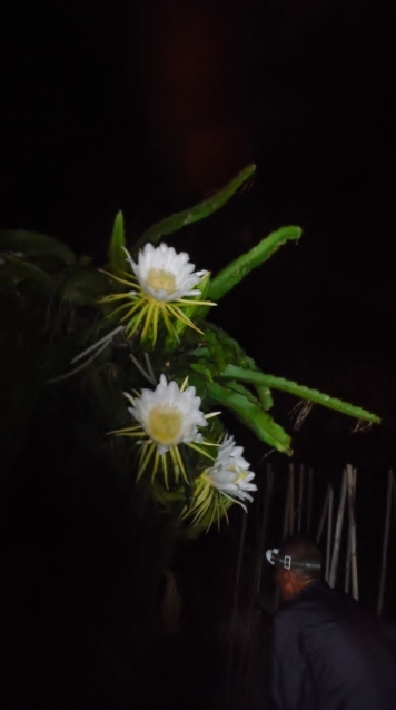 DSCF5672 (360x640).jpg