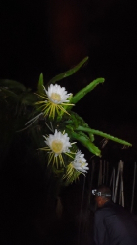 DSCF5672 (360x640).jpg