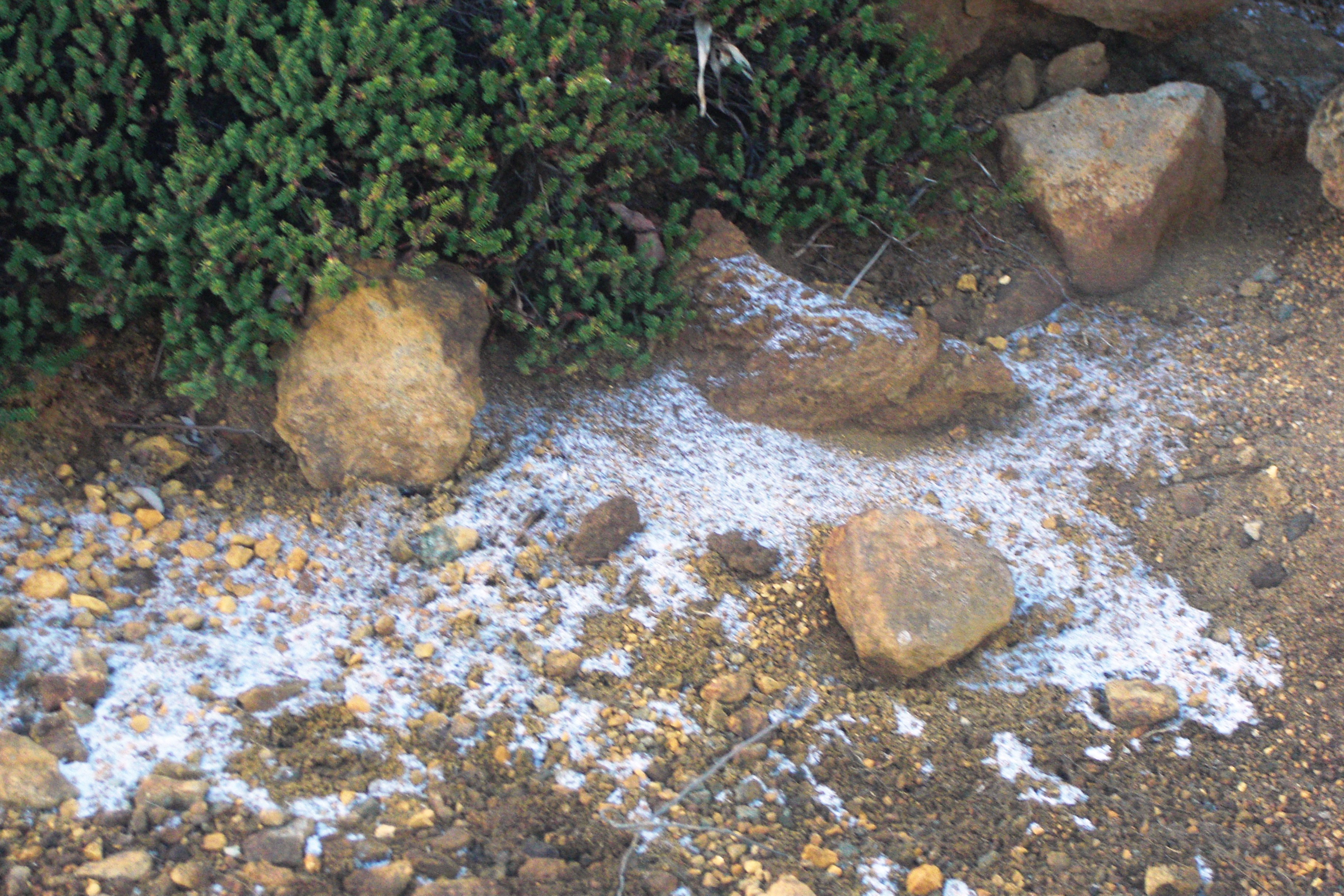 2016-10-25蔵王日帰りで佐々木氏と (16).JPG