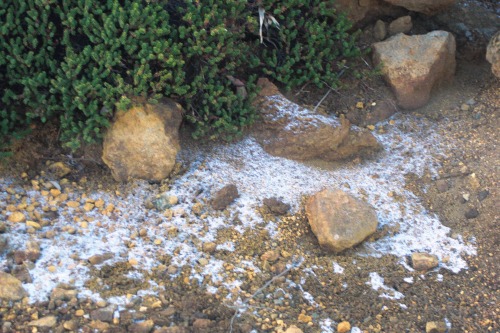 2016-10-25蔵王日帰りで佐々木氏と (16).JPG