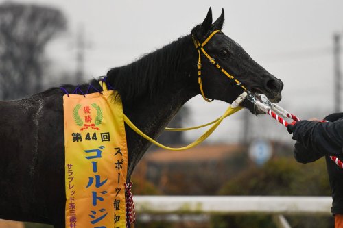 ゴールドジュニア２０駒野ｂ.jpg