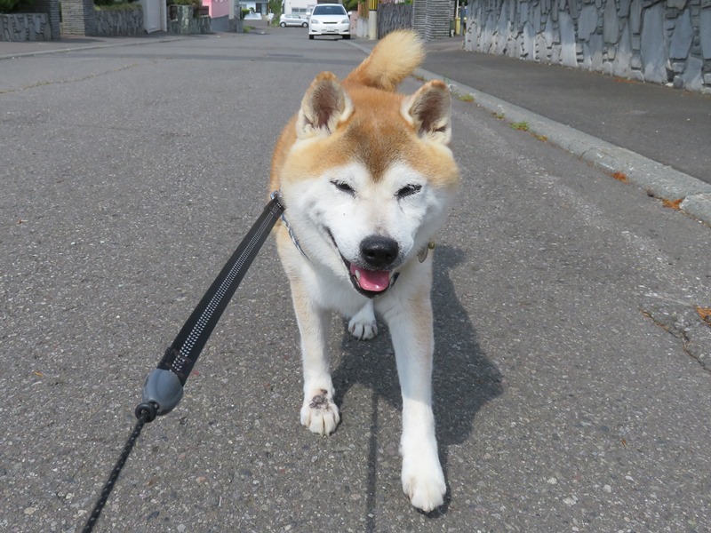 1おはよう.jpg